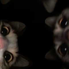 TurboMäßigeKlatsche🤯