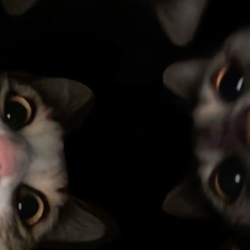 TurboMäßigeKlatsche🤯