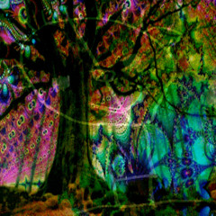 Dee Ex Em Qru - Untitled 5