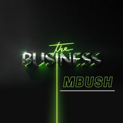 Tiësto - The Business (Mbush Remix)