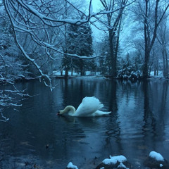 MF DOOM - Winter Blues (akhenaten remix)