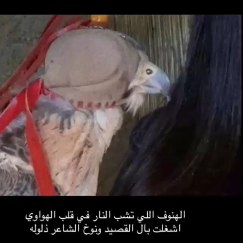 ‎⁨يا صاحبي خل العذل والمحايل  .⁩.m4a