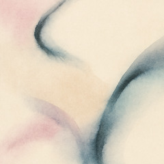 All the words we forgot