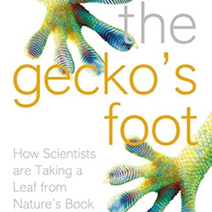 Access KINDLE 📩 The Gecko’s Foot: How Scientists are Taking a Leaf from Nature's Boo