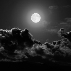 INTO THE NIGHT