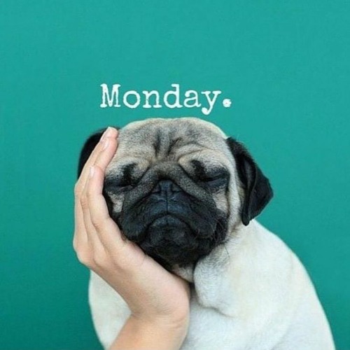 Monday Morning Mood