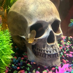 Hashbrown the crispy order .m4a