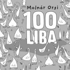 Pixa - 100 liba (Real Hard TECHNO Zpatrik Remix)