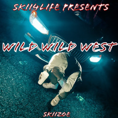 Wild Wild West