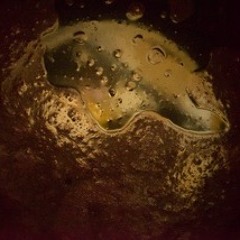 YeastSymphony (2019)