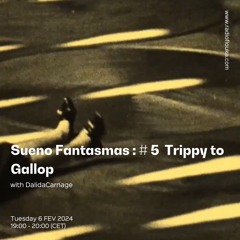 Sueno Fantasmas : #5 Trippy sound to gallop with DalidaCarnage - 06/02/2024