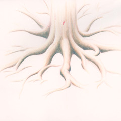 Organs (feat. ML Buch)