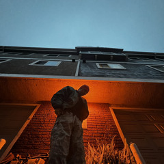 Buyer’s Remorse (with ColiNTooCoLd)