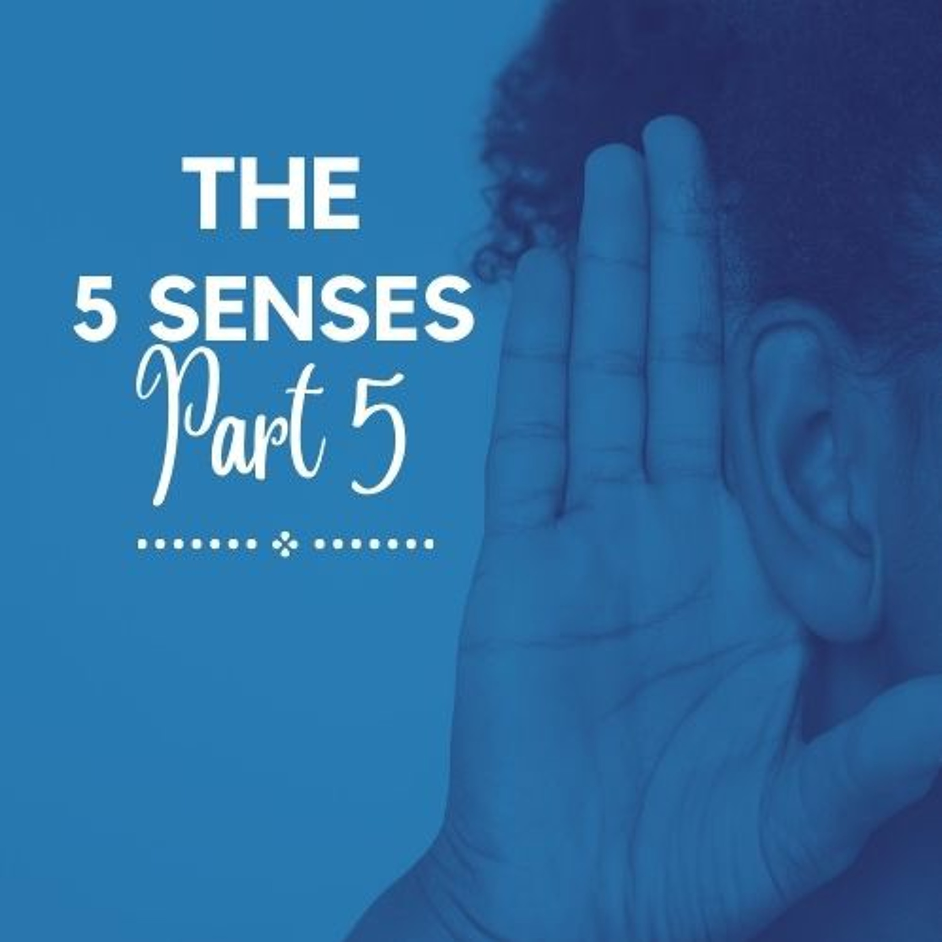 The Spirit Anointing the Word -  The 5 Senses (PT. 5) // Pas Subash Cherian episode artwork