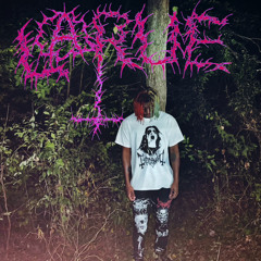 masochist (prod. morecalcium)