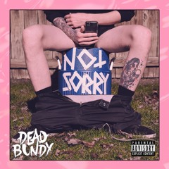Dead Bundy - When I'm High (Acoustic)