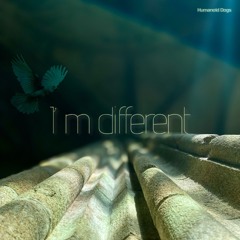 I’m Different (deep house, touch house, and acid house)