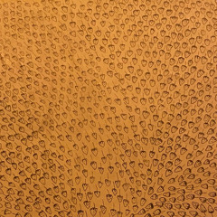 disquiet0674 ShuSwampSample