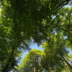 kiss u w/ misalive x luvistrash <kochan>