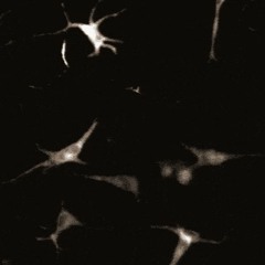 Remutation II (for orchestra) | 2019