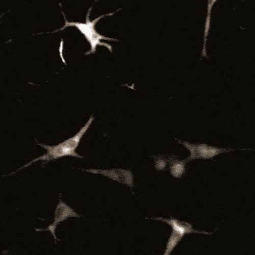 Remutation II (for orchestra) | 2019