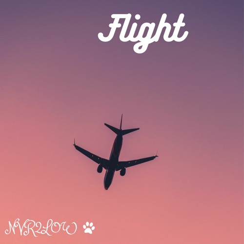 Flight