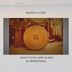 AS_GrooveWithLarry_Bongo_82bpm_17b_verb