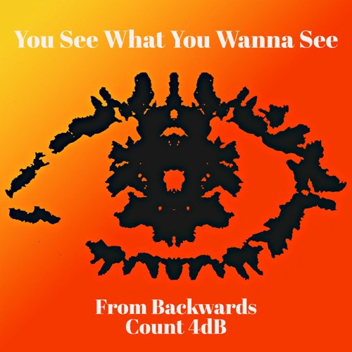 You See What You Wanna See (Feat. Count 4dB)