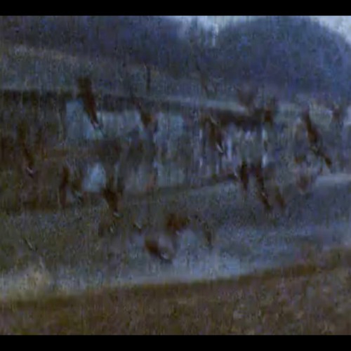 NEAR THE BLEEDING WINDOW