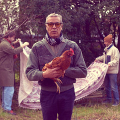 TAVÎ _ Live _ YAR MELEK