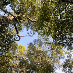 Hanuman ~ Ruben y Mila