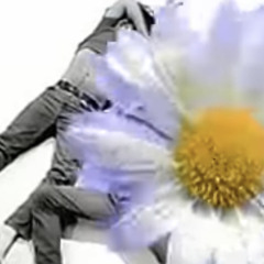 Untitled playlist