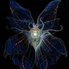 ABERRATION