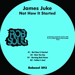 James Juke - Not How It Started [Robsoul Recordings]
