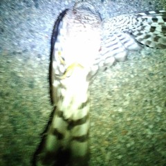 regret -wetwurd (prod.Eyezeck)