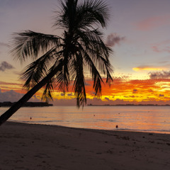 104 Samba "La isla bonita"