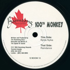 100th Monkey - Nyika Nyika