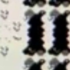 t h e me        m       (2025)