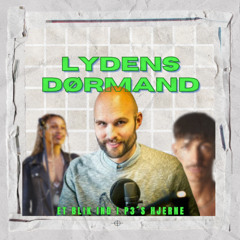 Gruppe 2 - Lydens dørmand