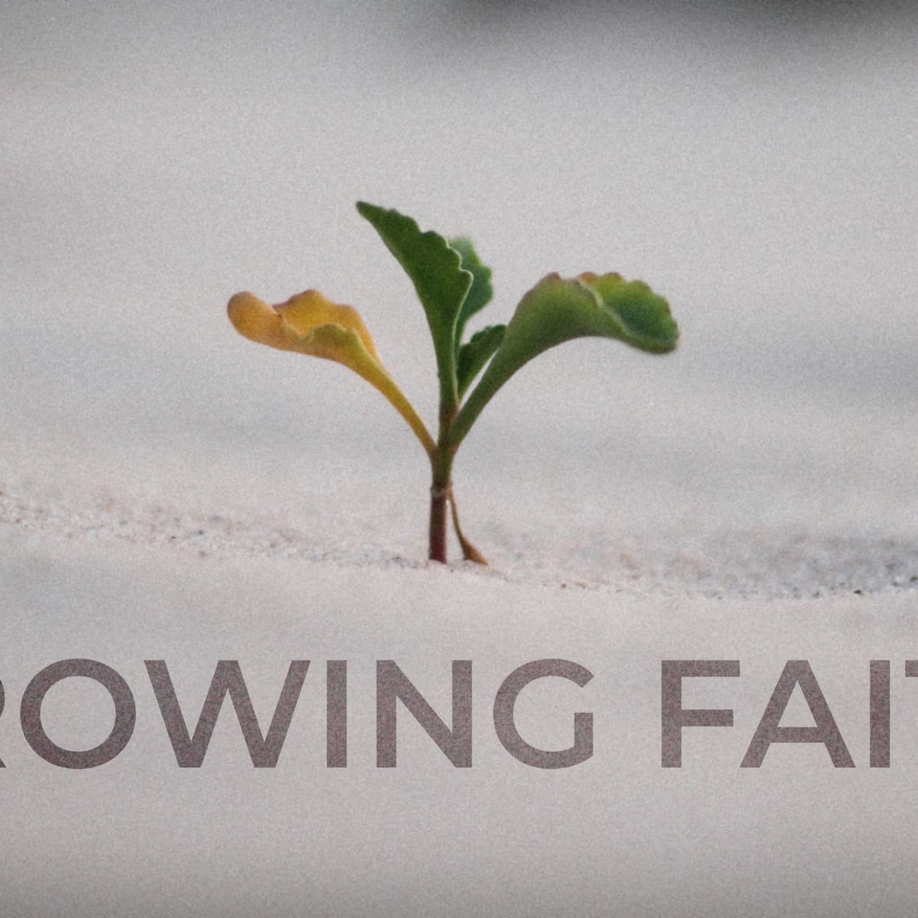 14.7.24 - Growing Faith episode artwork