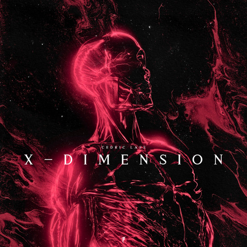 X Dimension
