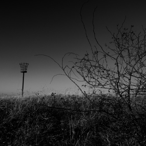 In Fear Of Future Days
