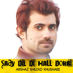Sady Dil Di Hall Dohai