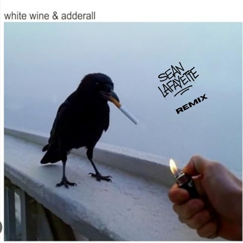 The Chainsmokers White Wine & Adderall (Sean Lafayette Remix) (Free Extended HQ DL)