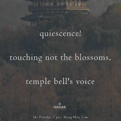 What's the Shock of One Bell Ringing? [ naviarhaiku580 ]