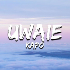 Kapo - UWAIE (Sand Timer Bootleg)