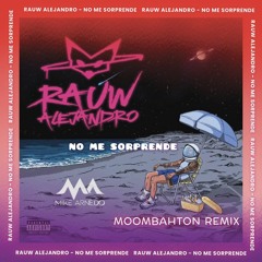 Rauw Alejandro - No Me Sorprende (Mike Arnedo Moombahton Remix)