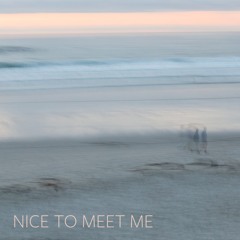Nice To Meet Me