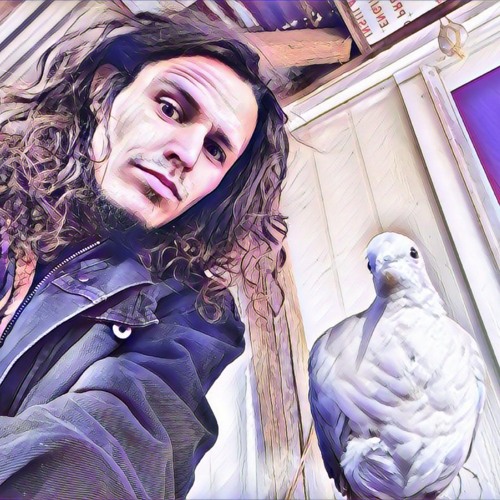 Can You Feel It ? - a frEestyLe Flow.