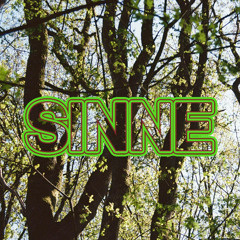 SINNE at Loophole 21-06-2025